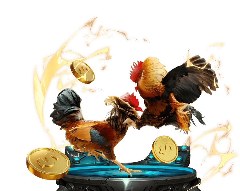 Ưu đãi nạp tiền hàng ngày zx8801